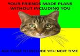 Senseable Cat