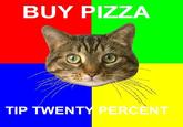 Senseable Cat