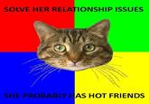 Senseable Cat