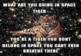 Buzzkilling