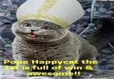 Happy Cat