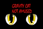 Gravity Cat