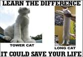 Learn/Know the difference, it could save your life