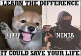 Learn/Know the difference, it could save your life