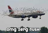 Zerg Rush