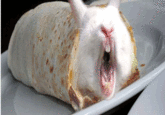 Bunnyfaic