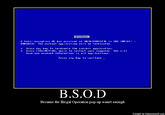 Blue Screen of Death (BSoD)