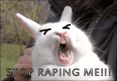 Bunnyfaic