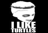 I Like Turtles
