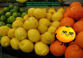 Mikan-Seijin (Extraterrestrial Oranges)