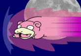 Speedycat