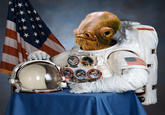 Harmony Central Amp Forum Astronauts!