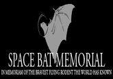 SpaceBat