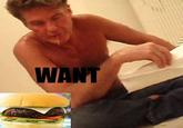 David Hasselhoff Drunk