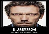 It's Not Lupus