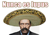 It's Not Lupus