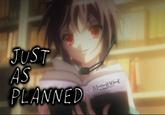Just As Planned