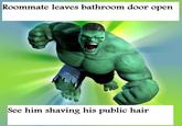 roommate hulk