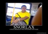 A wild Snorlax appears!