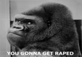 You Gonna Get Raped