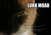 Lurk Moar