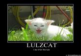 I Did It for the Lulz