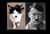 OMG Secret Nazi