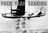 Fuck Yeah Seaking