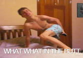 What What (in the Butt)