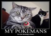 My Pokemans, Let Me Show You Them