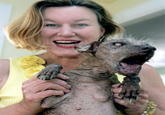 Sam the World's Ugliest Dog