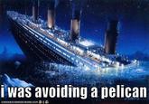 I was avoiding a pelican