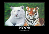 Noob
