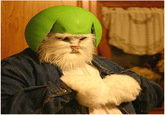 Limecat