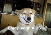 Enjoy Your AIDS