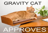 Gravity Cat