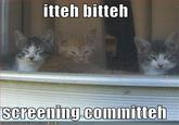 Itteh Bitteh Kitteh Committeh