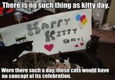 Average Cats