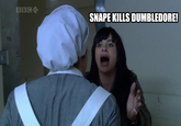 Snape Kills Dumbledore