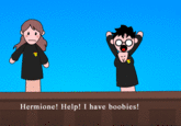 Potter Puppet Pals