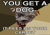 Cynical Dog