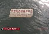 Engrish