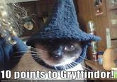 10 Points from/for Gryffindor