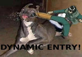 DYNAMIC ENTRY!