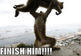 FINISH HIM! / FATALITY / Fake Fatalities