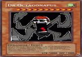 dr octagonapus