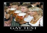 Gay Test