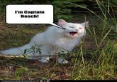I'm Captain Basch / Don't Listen to Ondore's Lies