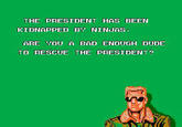 Bad Dudes