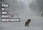 WHARRGARBL / Sprinkler Dog